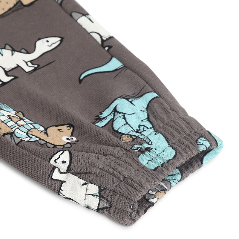 Boys Medium Grey Printed Long Trousers image number 3